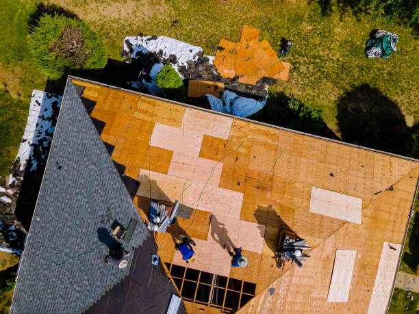 Best Roof Maintenance Services  in Stone Ridge, VA